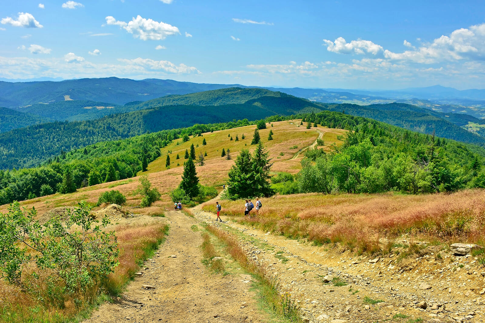 Szlak górski