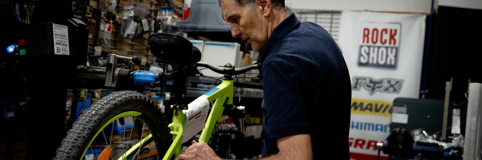 Triban Regular (2020)