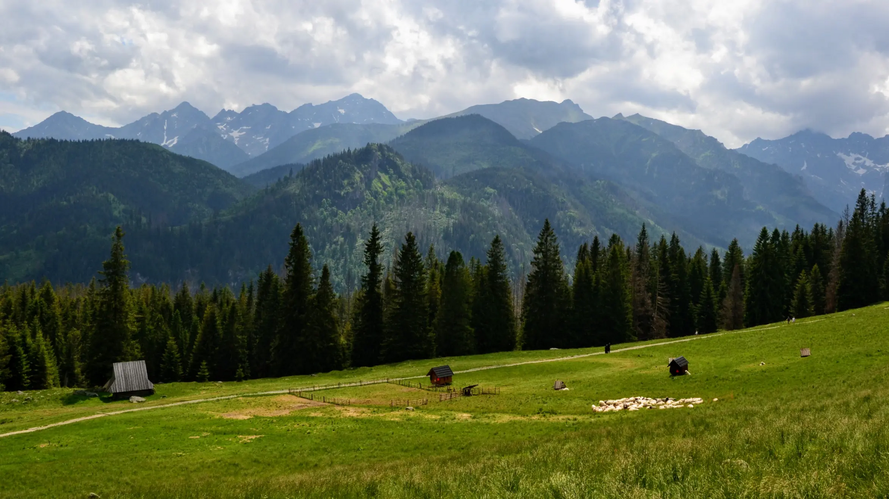 Rusinowa Polana