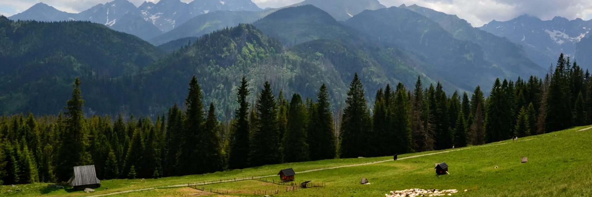 Rusinowa Polana