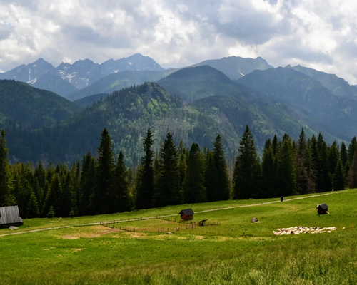 Rusinowa Polana