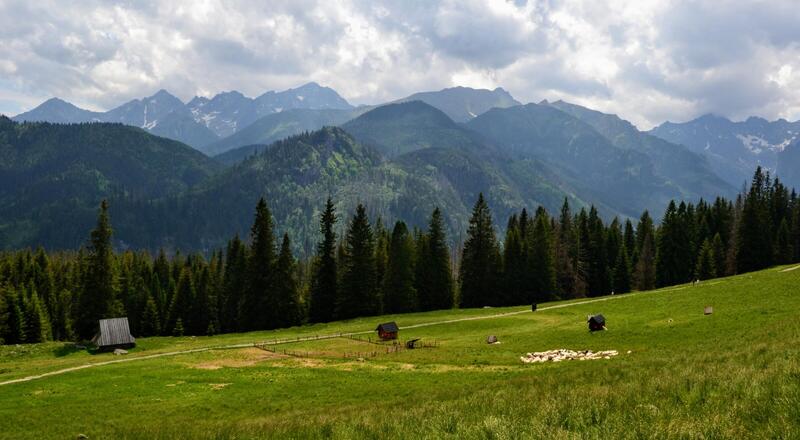 Rusinowa Polana – szlak w Tatry z dzieckiem. Rodzinne wędrówki