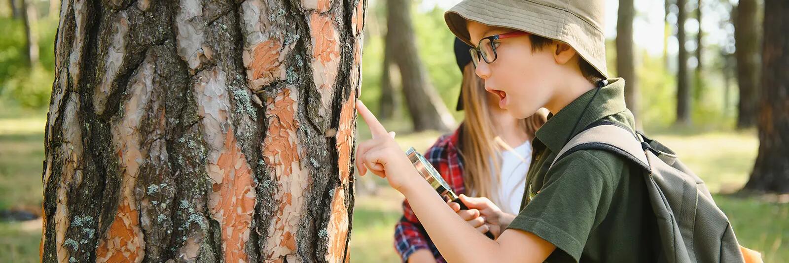 Dzieci szukające znaków na korze drzewa bawiące się w podchody