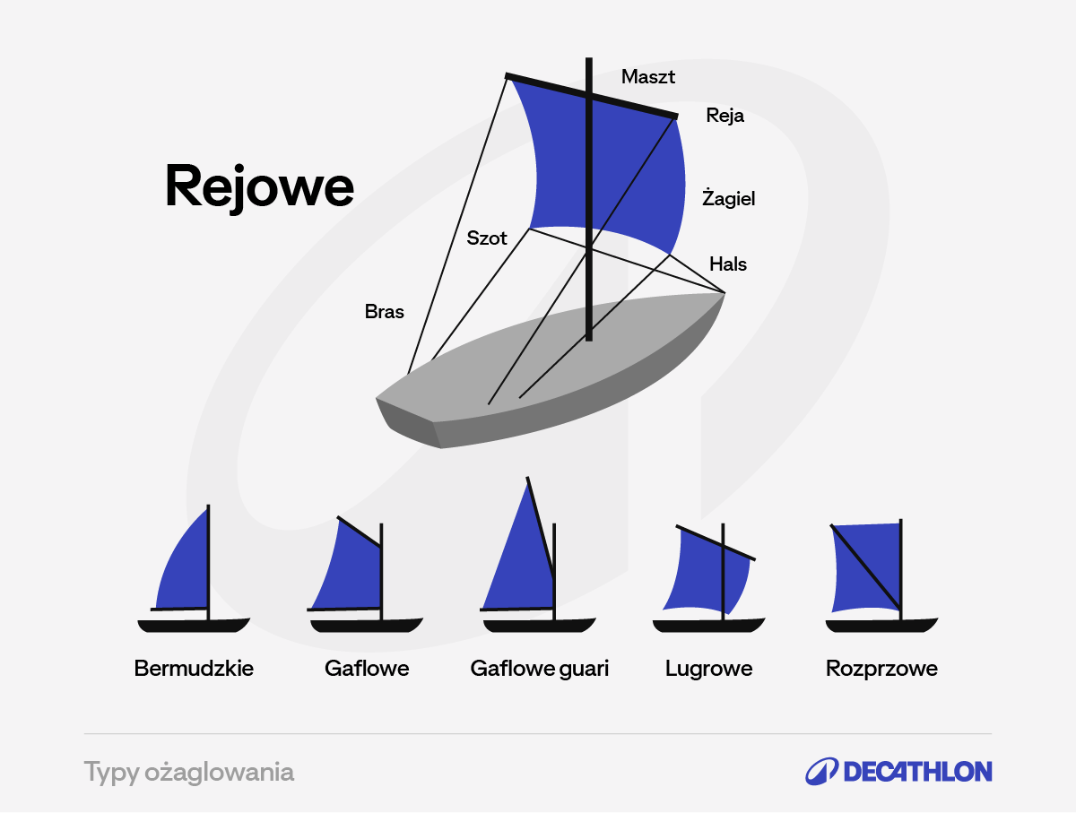 Infografika-typy-ozaglowania