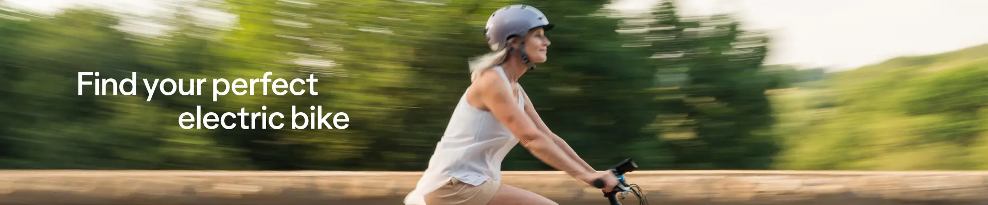 electric bikes guide