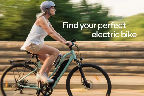 Perfect Electric Bike