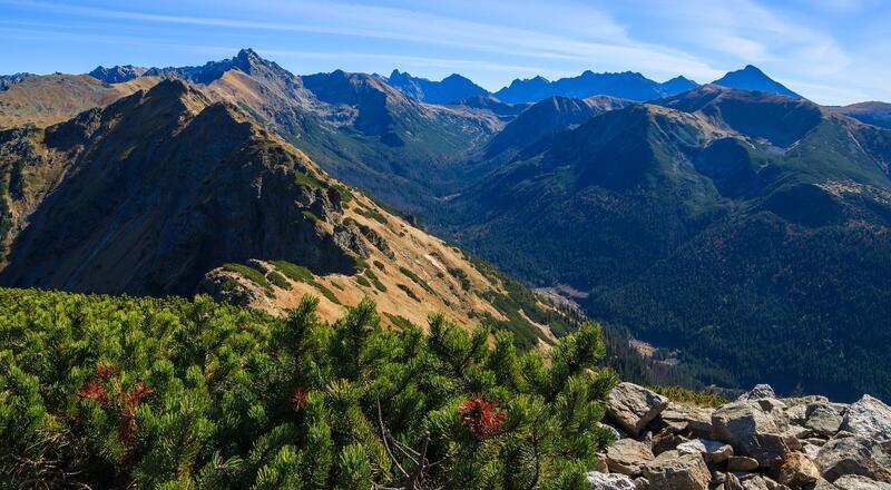Kopa Kondracka – szlak z Kuźnic przez Przełęcz w Tatry na Wierch