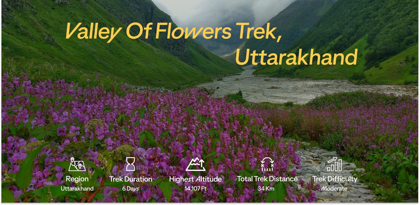 Category Header [ iconic treks 2025 ] - Valley of Flowers Trek