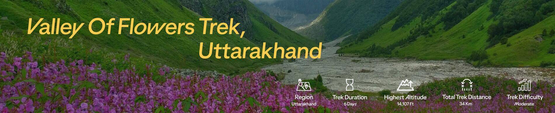 Category Header [ iconic treks 2025 ] - Valley of Flowers Trek