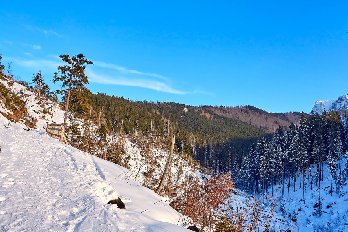 Dolina Miętusia