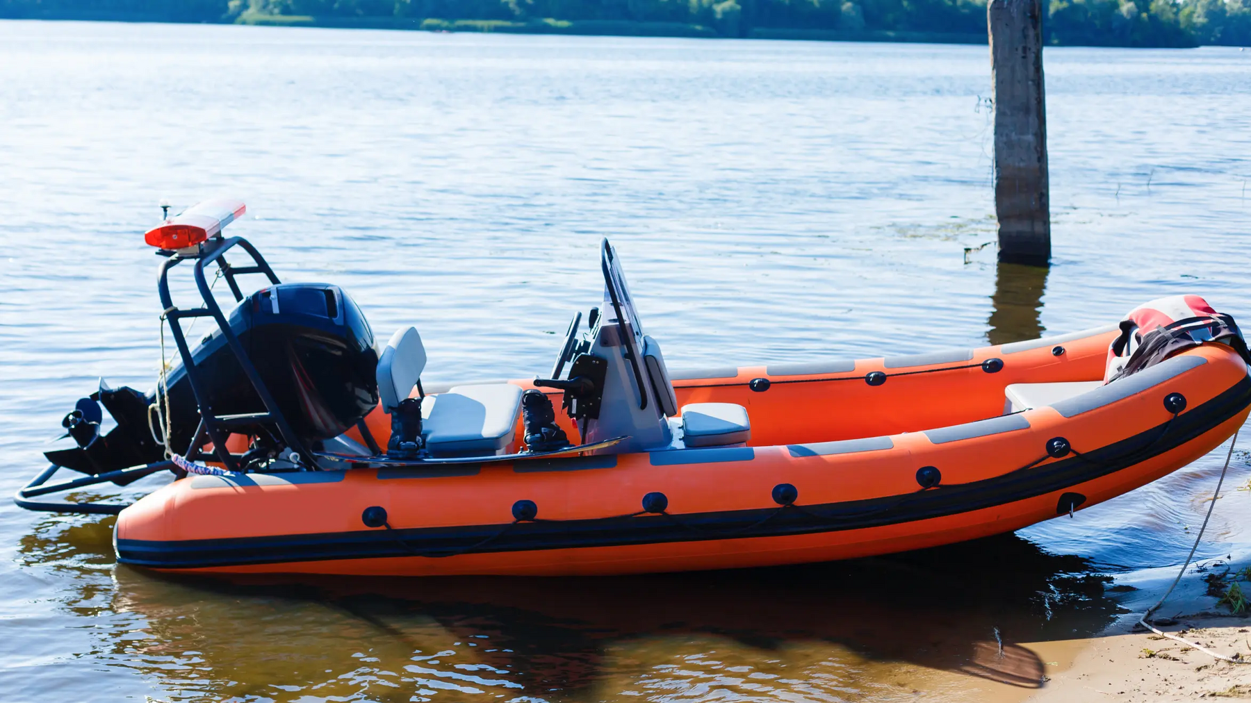 Rib na brzegu
