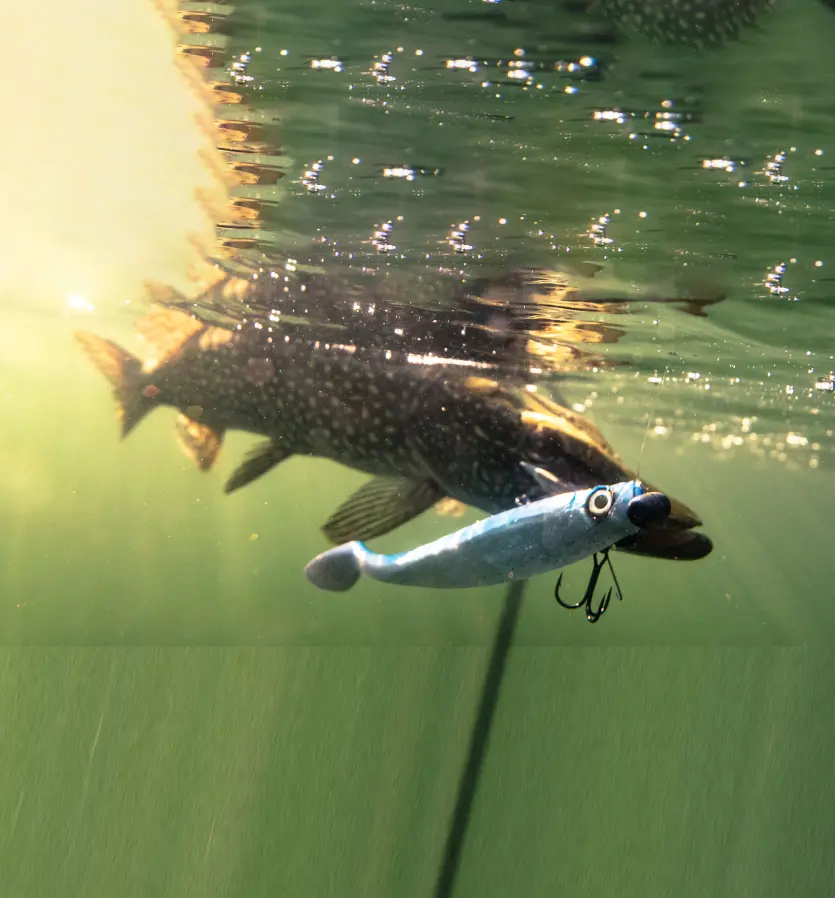 Slide background