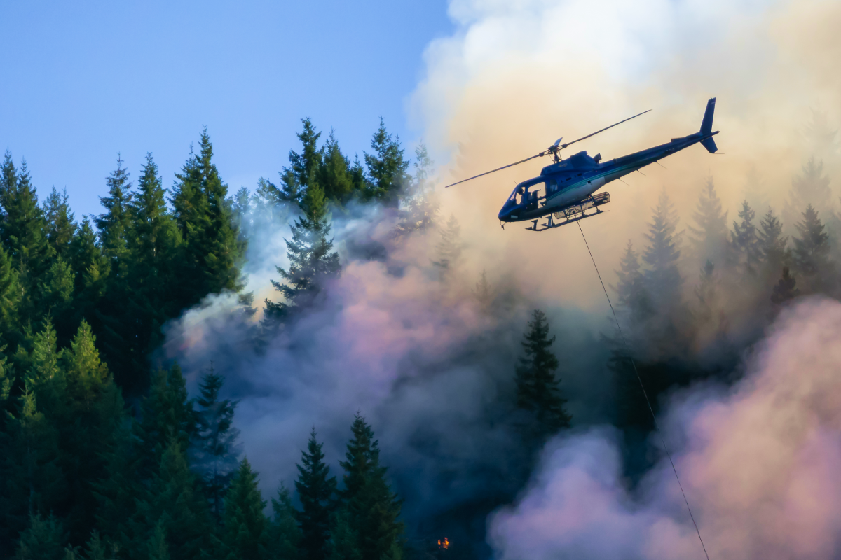 Helikopter gaszący pożar lasu z powietrza