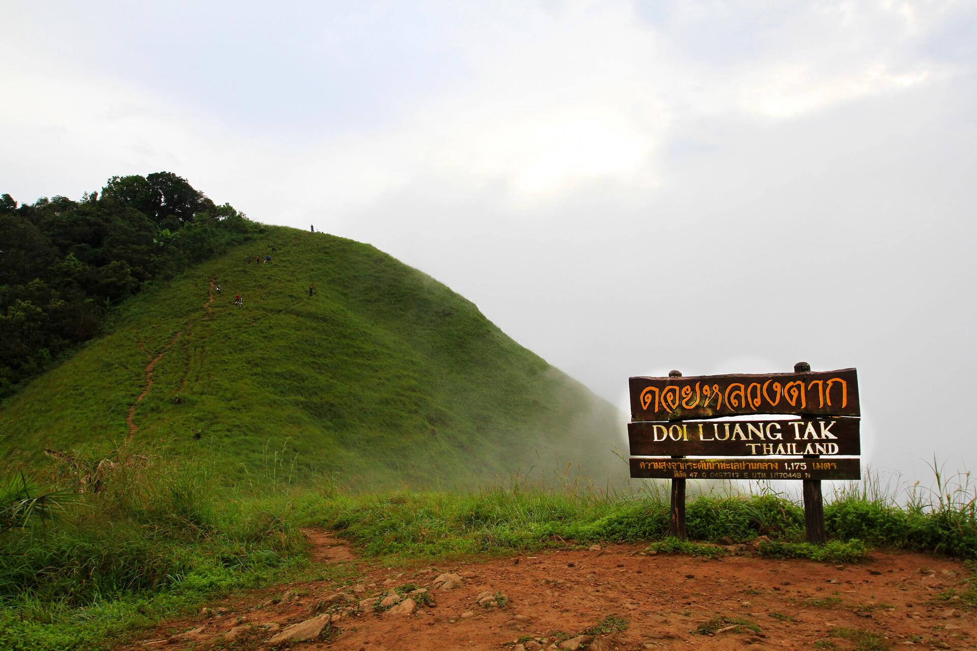 เดินป่าหน้าฝนที่ดอยหลวงตาก อุทยานแห่งชาติดอยสอยมาลัย-ไม้กลายเป็นหิน
