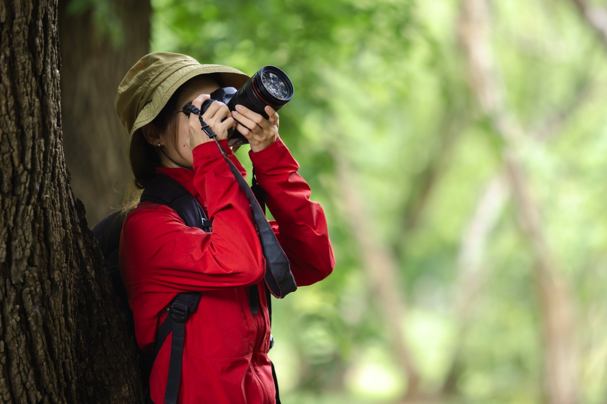Kobieta oparta o drzewo fotografująca ptaki