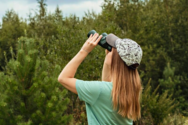 Birdwatching w Polsce – jak etycznie obserwować ptaki w naturze?