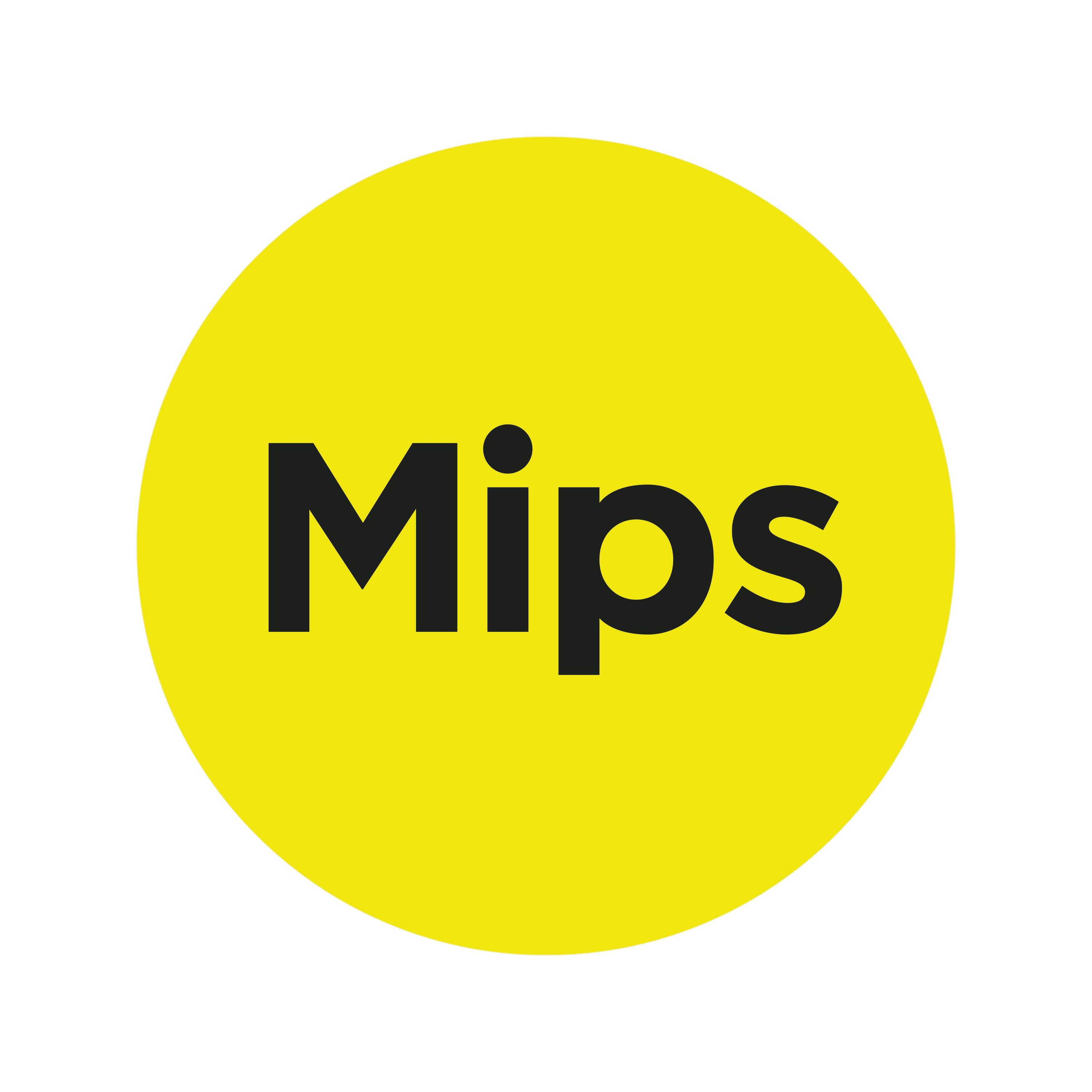 Caschi bici MIPS