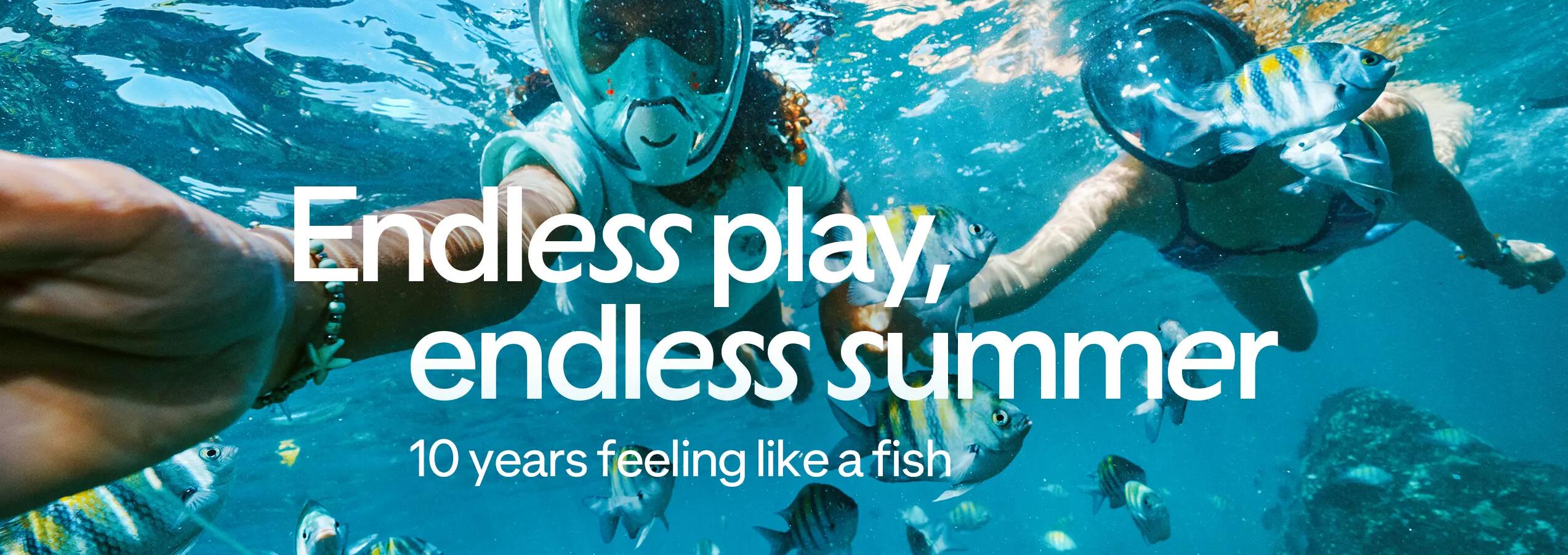 wellness Equipment Banner