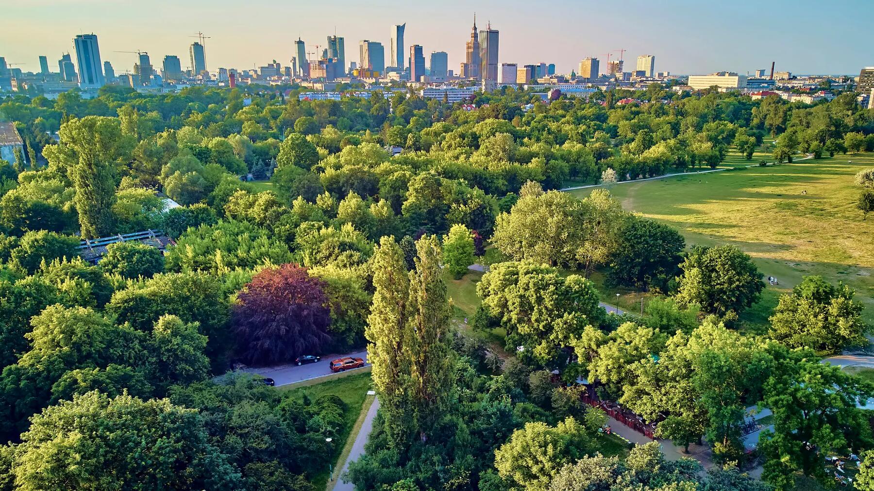 Park w Warszawie