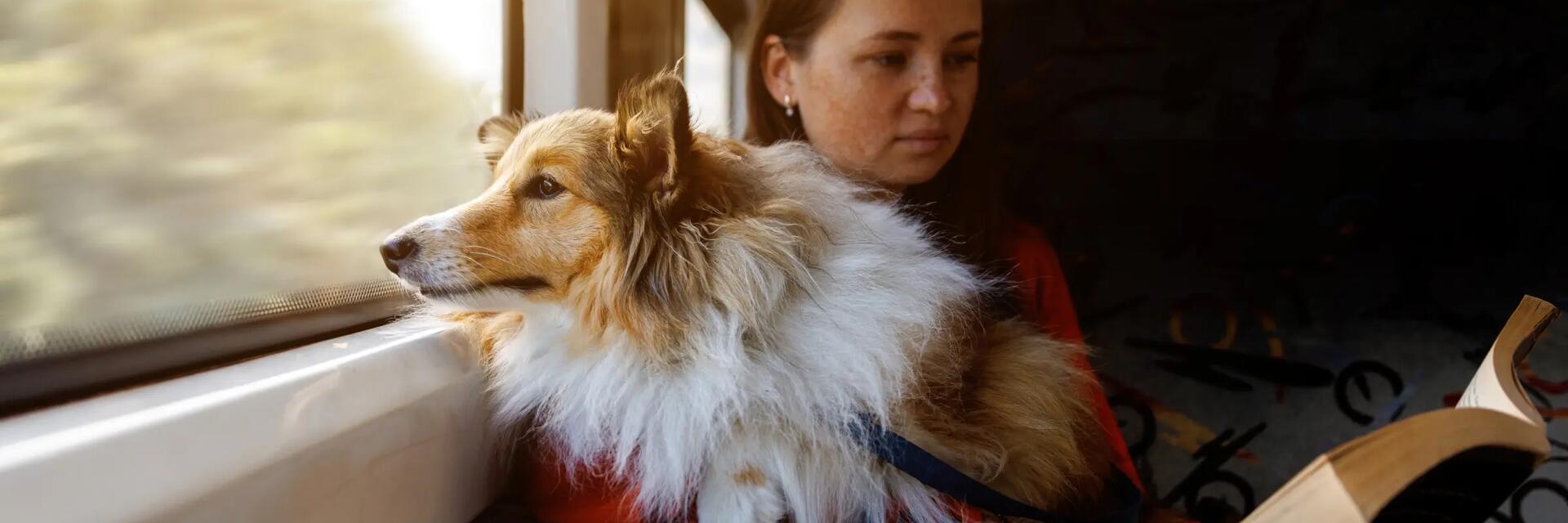 Kobieta trzymająca na kolanach psa czytająca książkę w pociągu