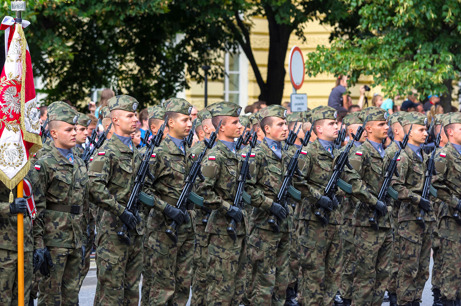 Żołnierze stojący w szeregach