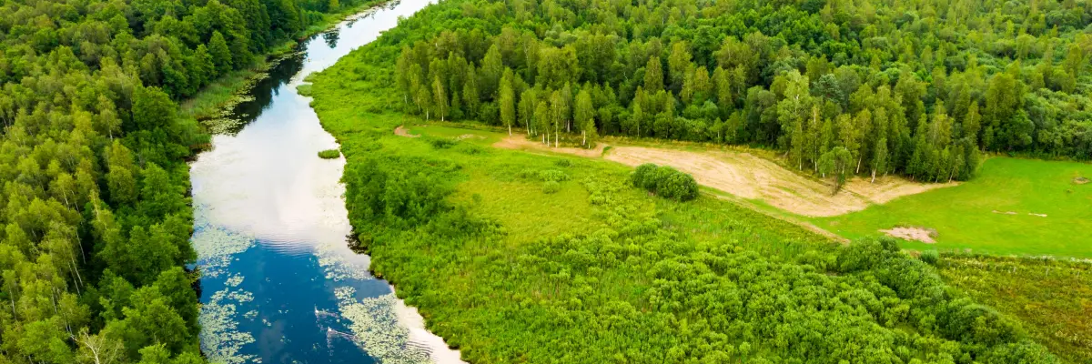Krajobraz przedstawiający miejsce gdzie można pojechać na Mazury