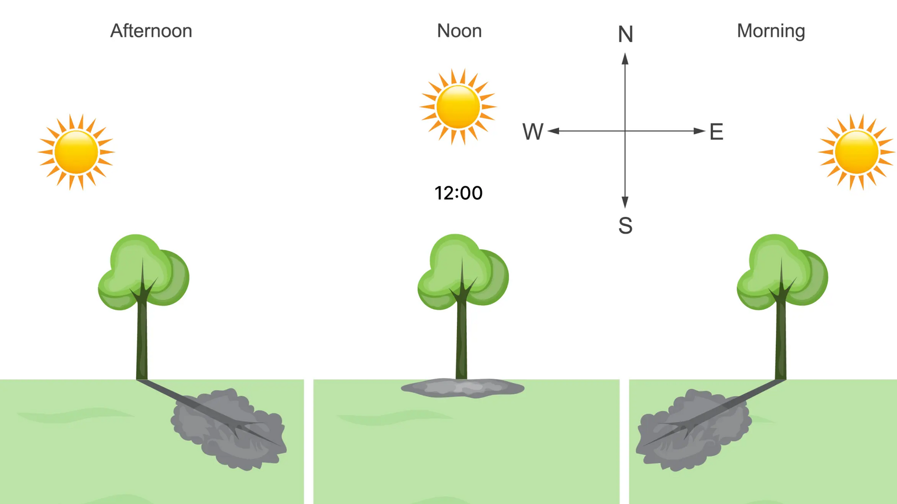 Infografika o kierunkach świata