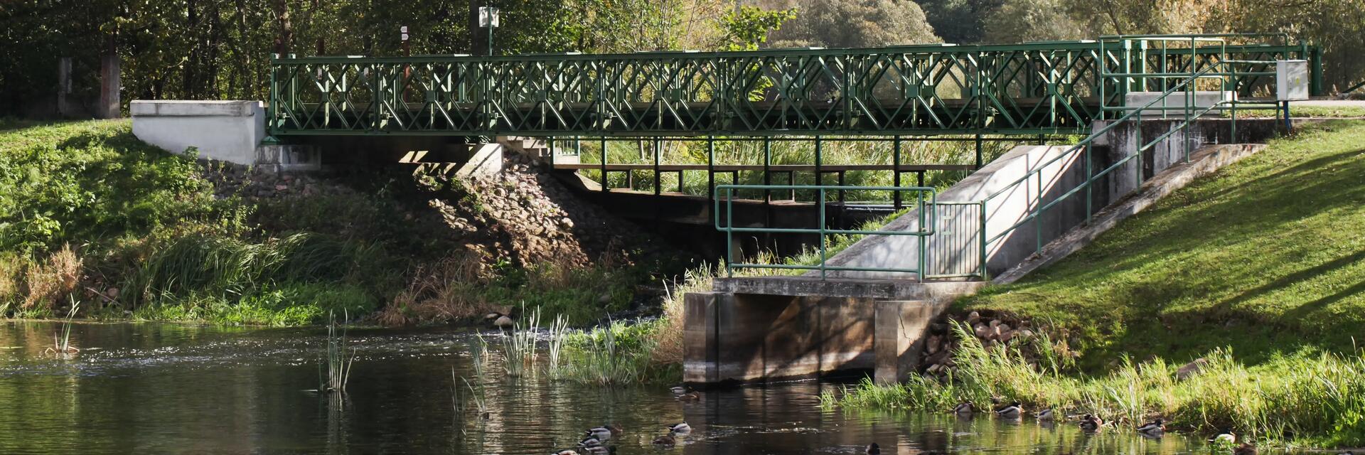 Most w parku pod którym płynie rzeka