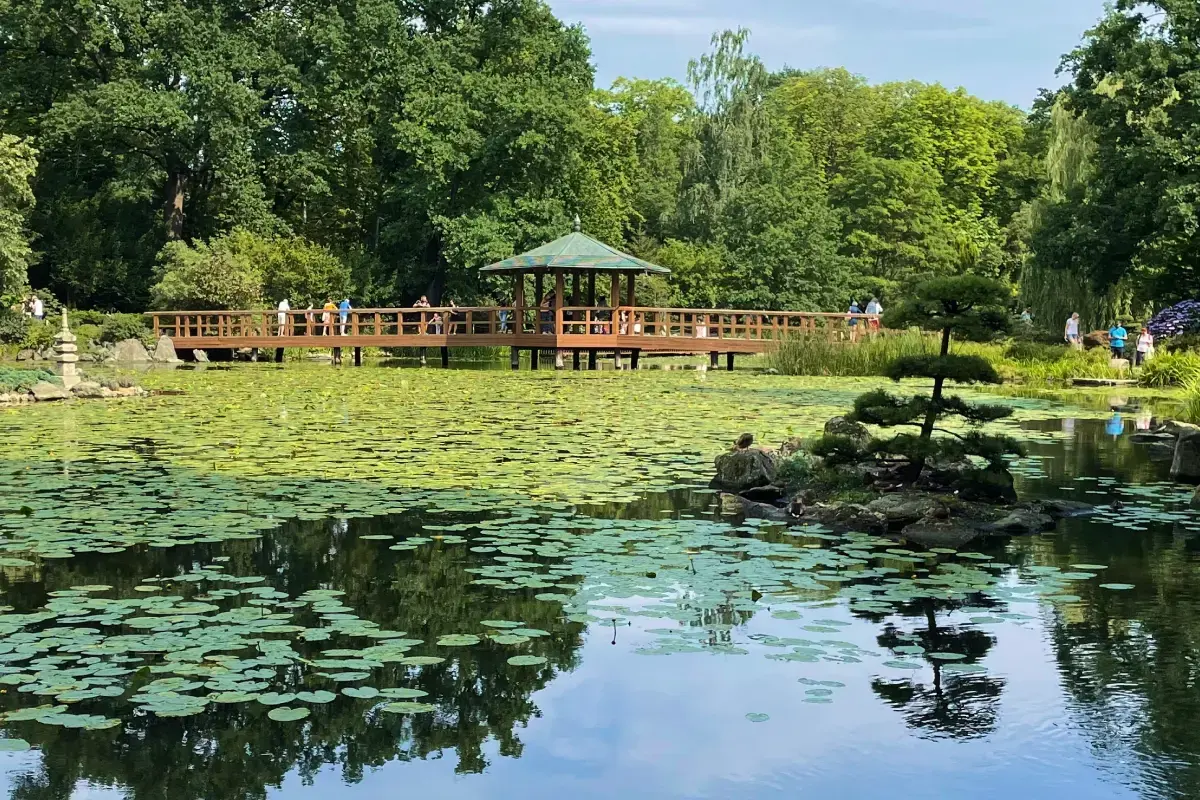 Park we Wrocławiu