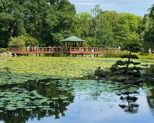 Park we Wrocławiu