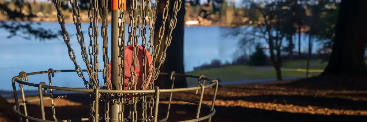 Dysk w koszu do disc golfa