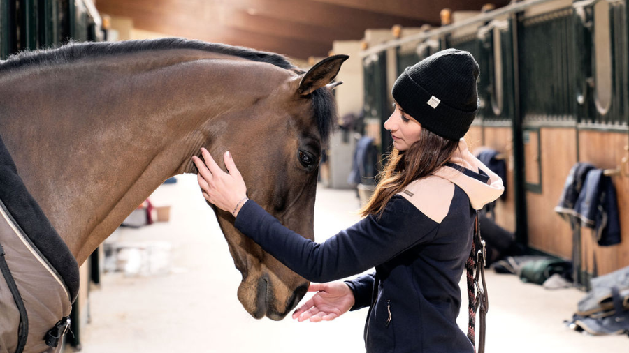 sphere media background sample