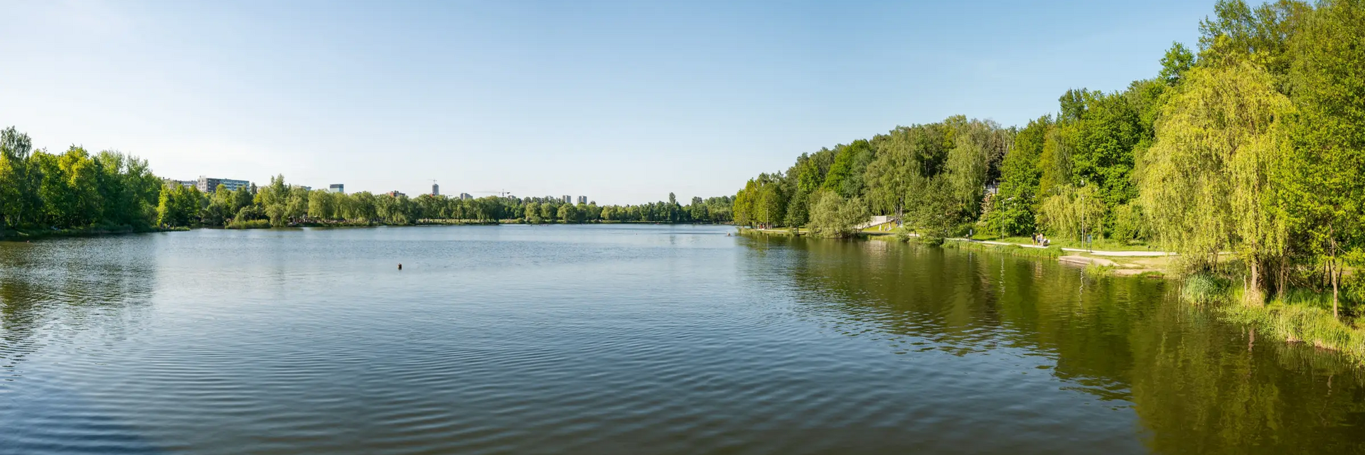 Jezioro w koło las