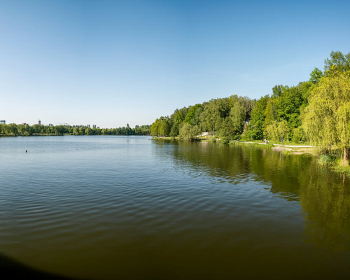 Jezioro w koło las