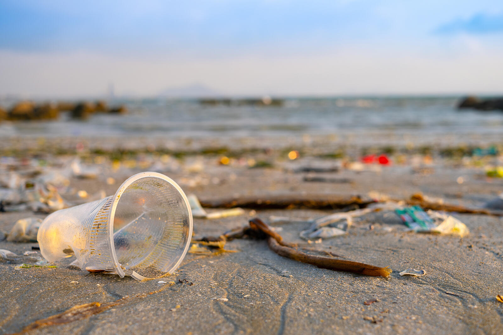 Śmieci na plaży