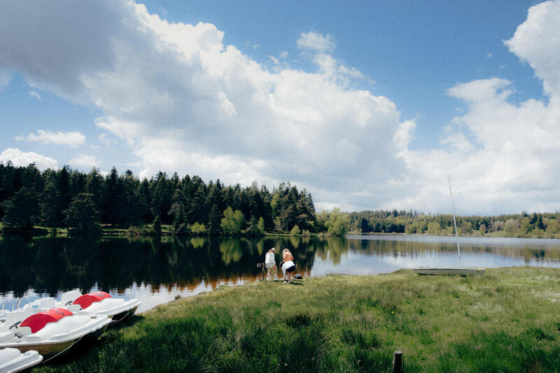Wandelen in de Biesbosch - De ultieme gids voor de Hollandse jungle