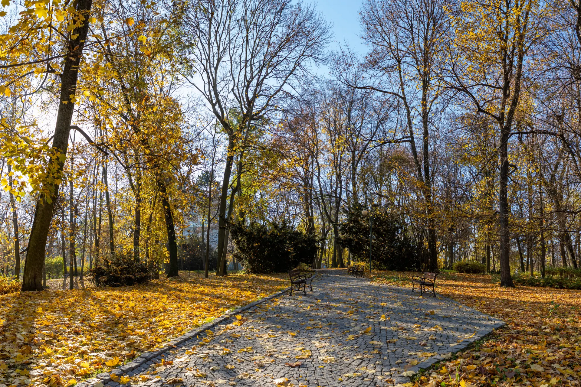 Park