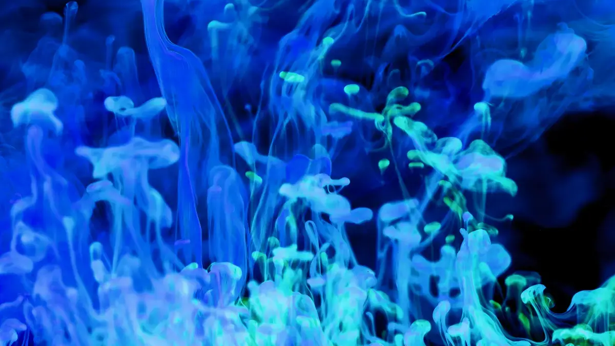 Zjawisko bioluminescencji widziane podczas nurkowania nocnego