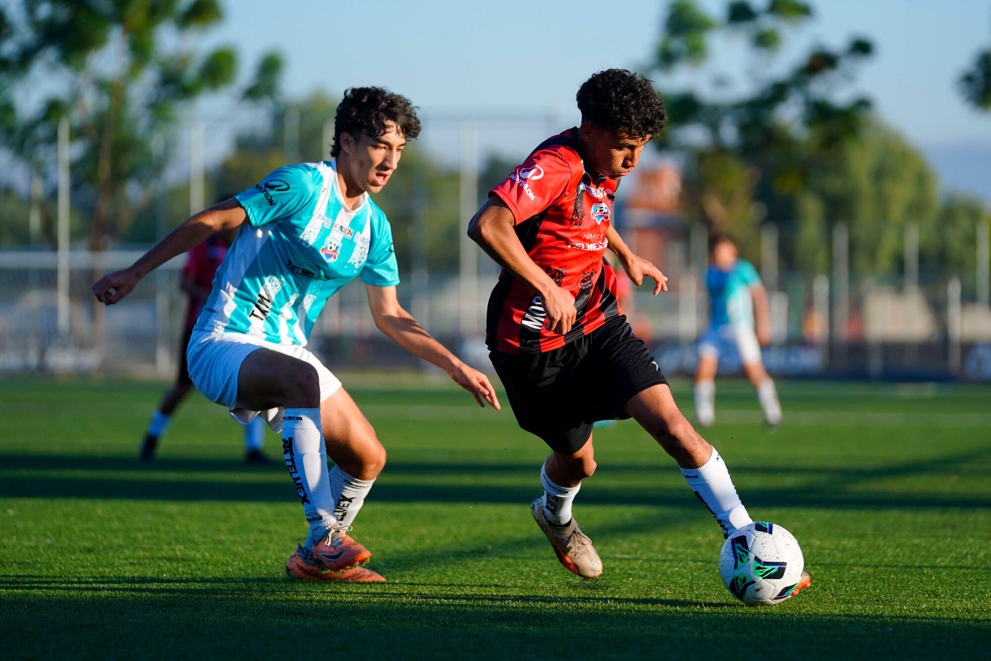 Imagen 1