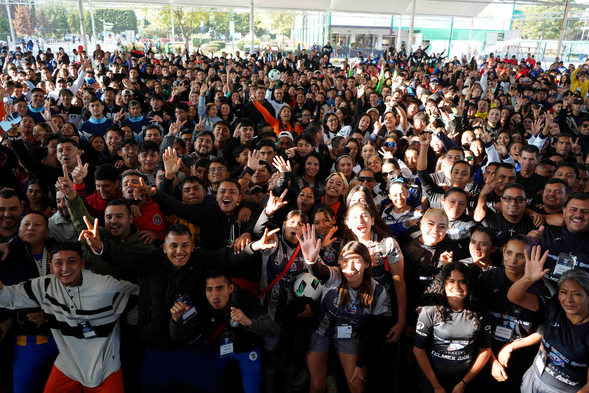 Imagen 9