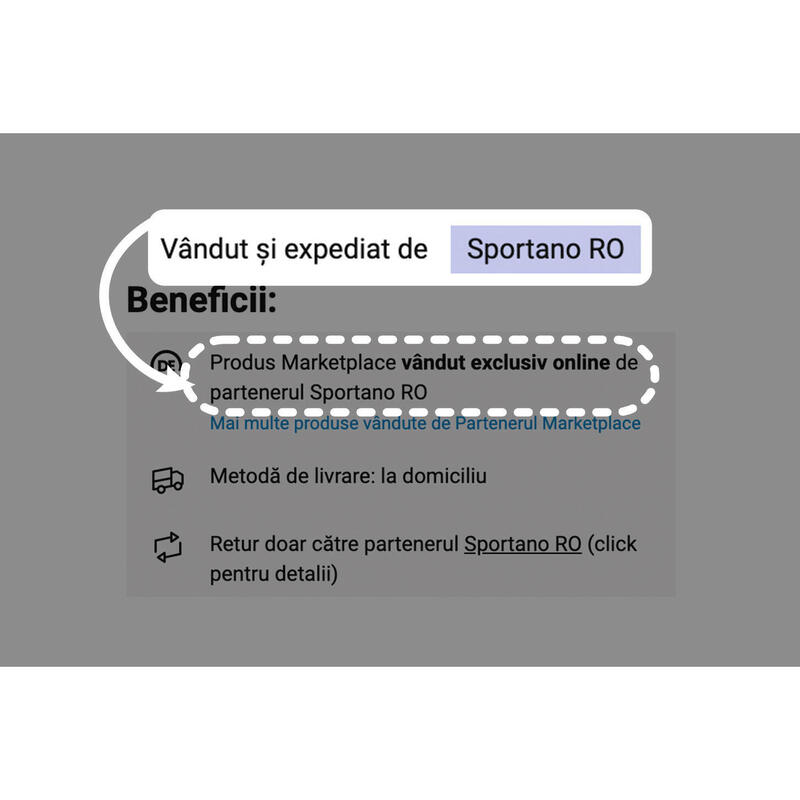 Texte alternative image