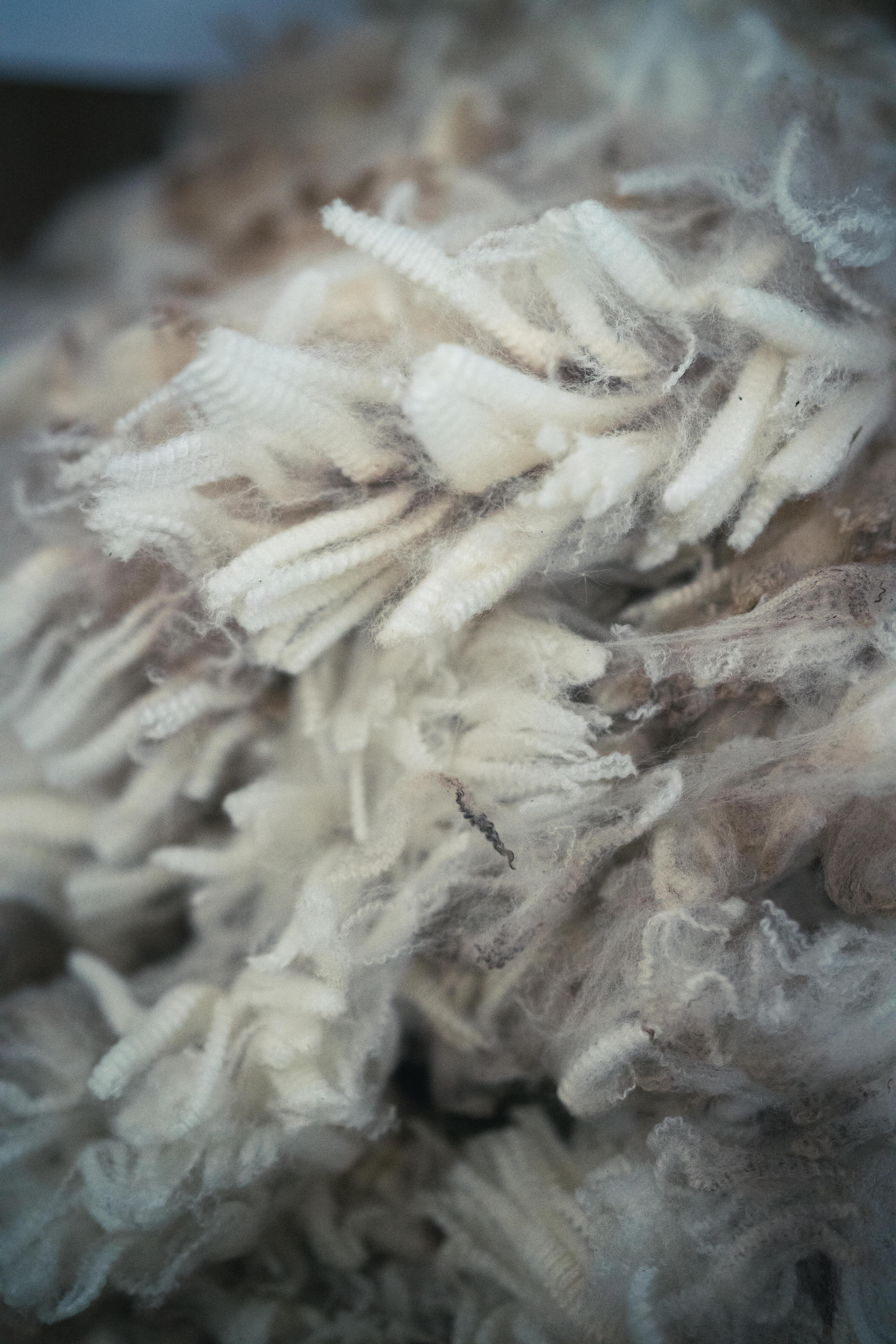 Louis Douls, Simond's head of environmental issues 