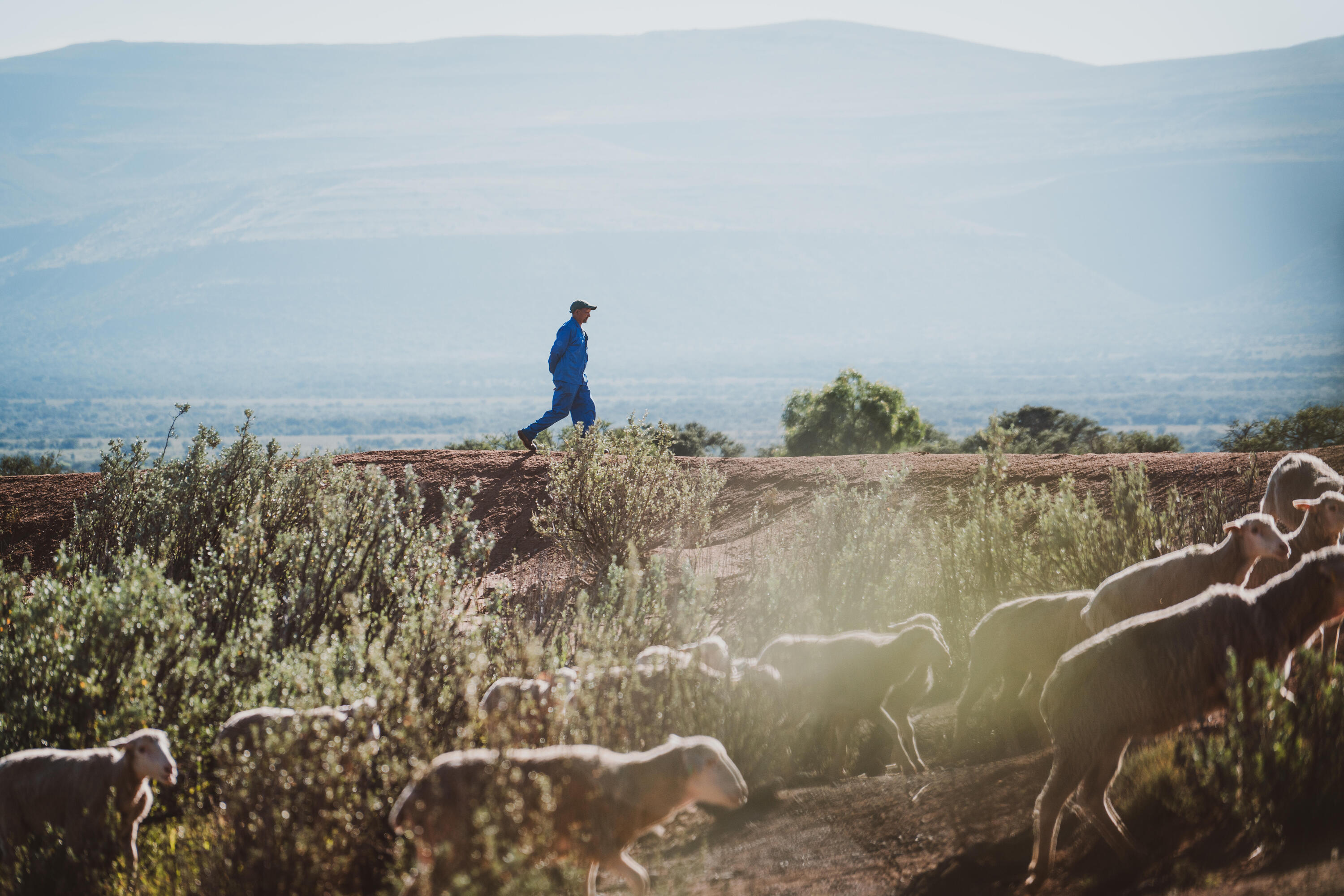 Test our product on cocreation.decathlon.fr