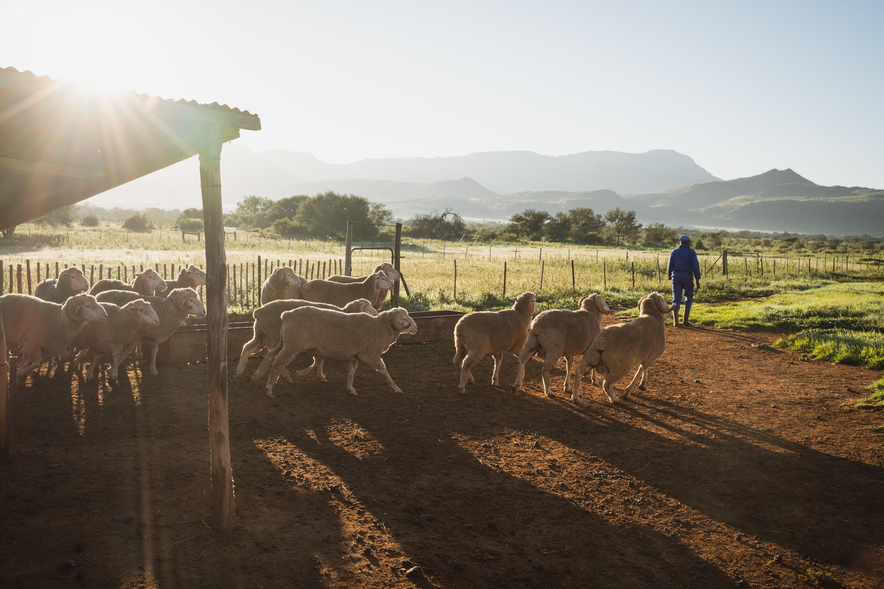 Test our product on cocreation.decathlon.fr