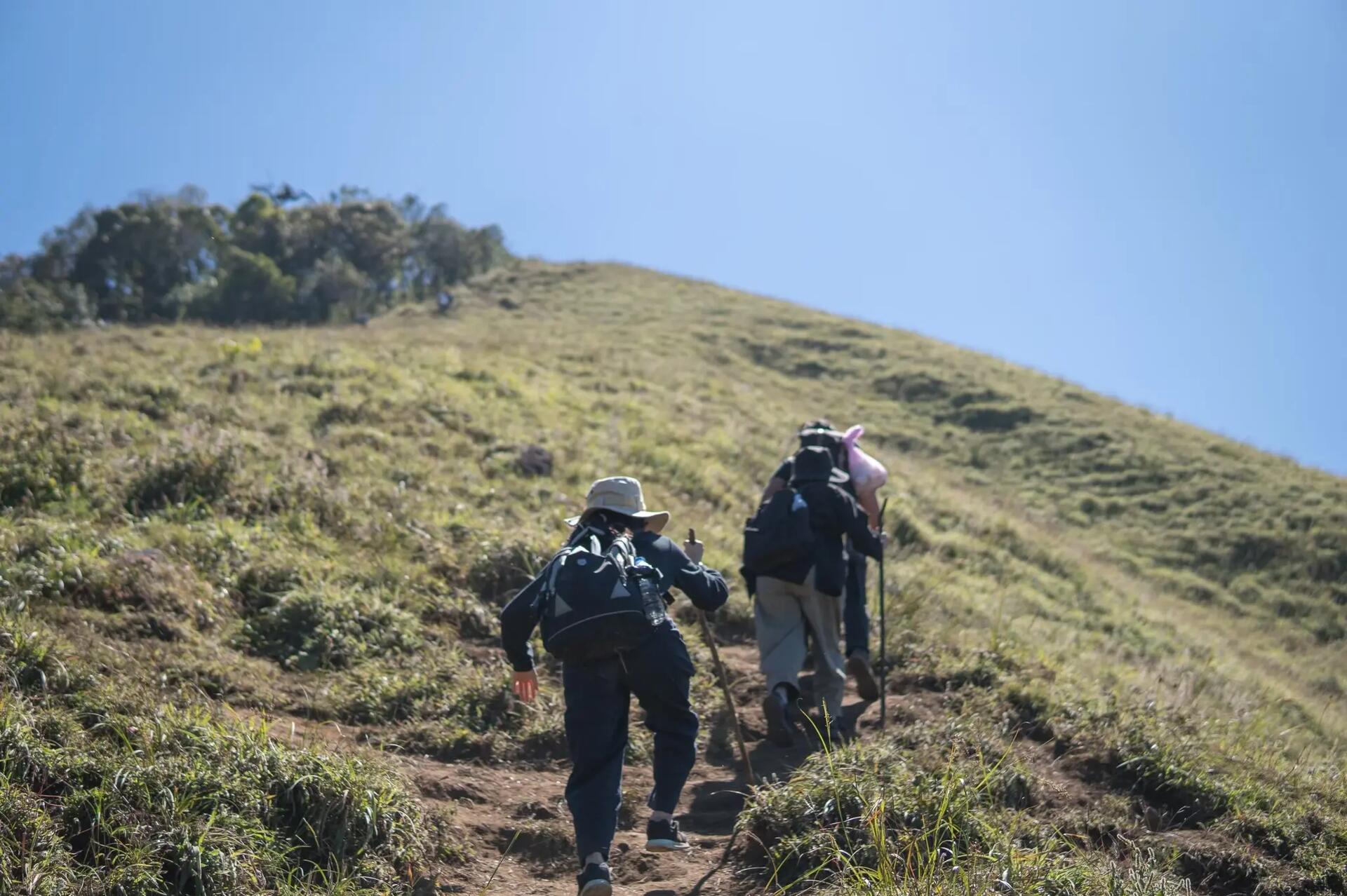 ม่อนจอง เนินหมาหอบ