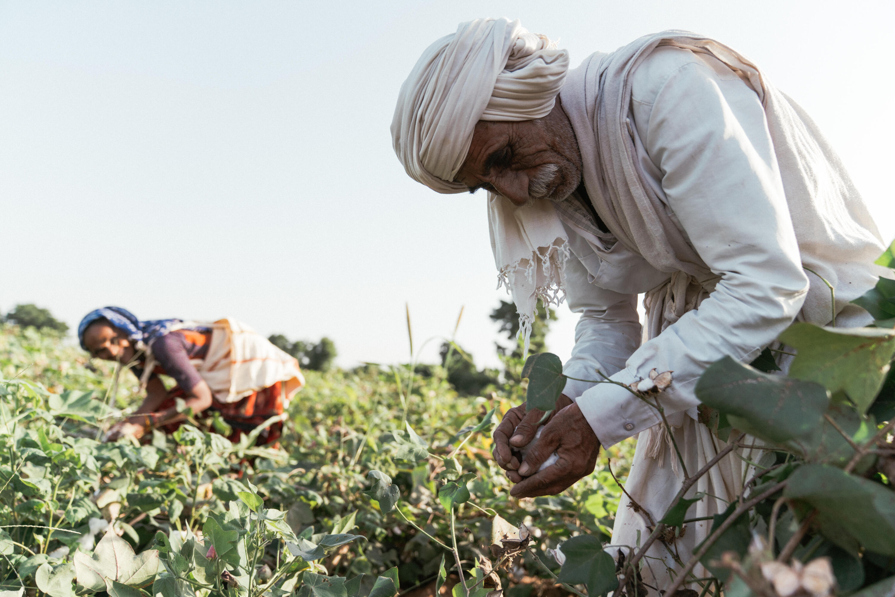 Fair trade certification
