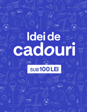 Cadouri sub 100 lei
