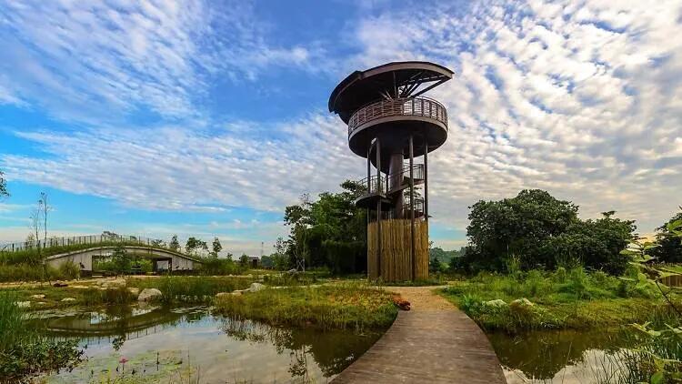 6-secret-places-to-hike-in-singapore