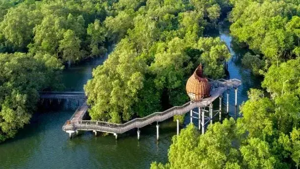 6-secret-places-to-hike-in-singapore