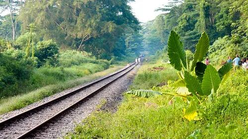 6-secret-places-to-hike-in-singapore